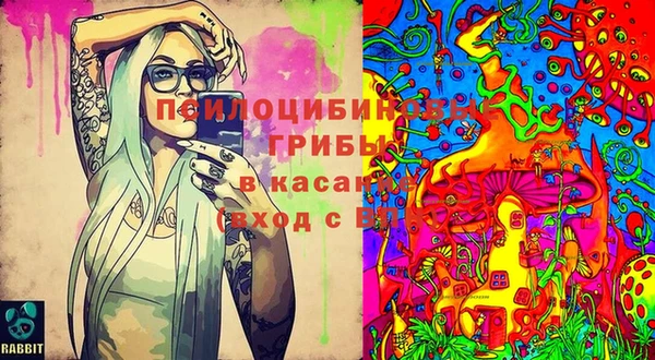 а пвп мука Медвежьегорск