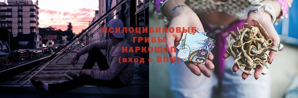 индика Медногорск