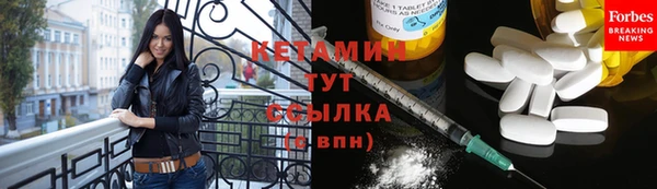 индика Медногорск