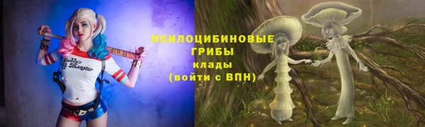 индика Медногорск