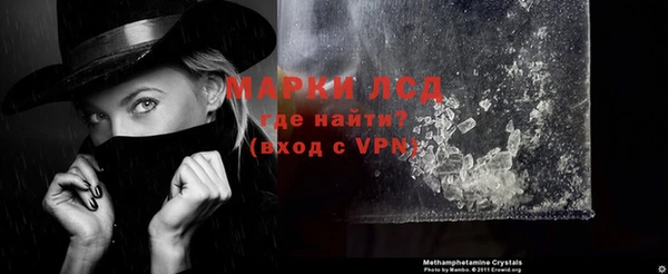 индика Медногорск
