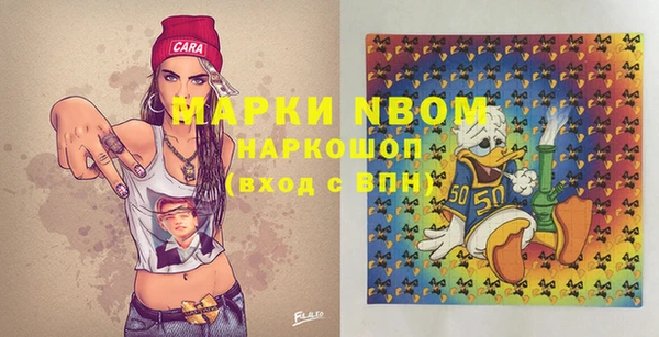 индика Медногорск