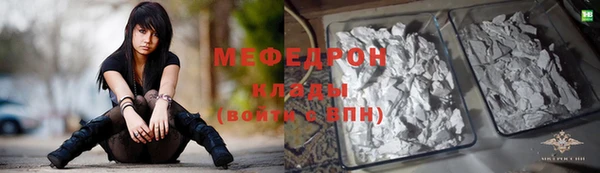 индика Медногорск
