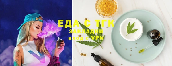 индика Медногорск