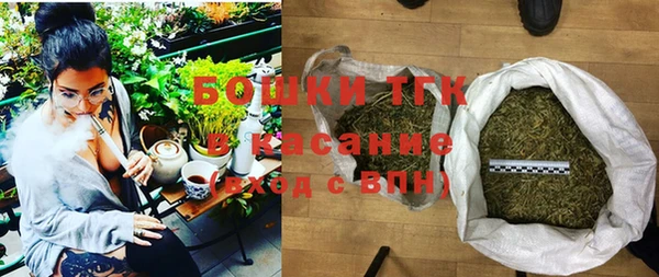 индика Медногорск