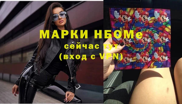 индика Медногорск