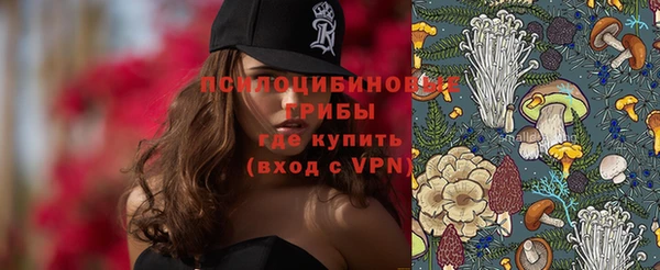индика Медногорск