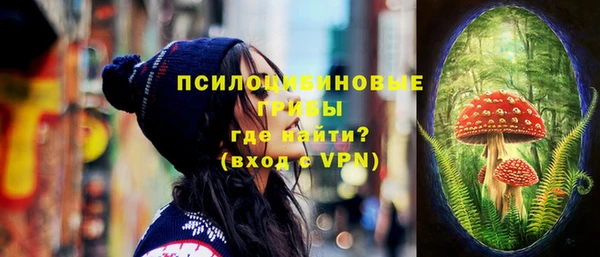 мдпв Мегион