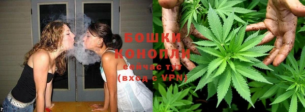 мдпв Мегион