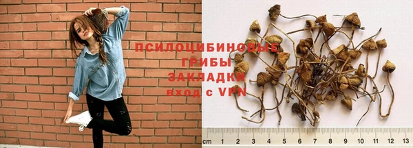а пвп мука Медвежьегорск