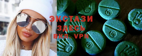 индика Медногорск