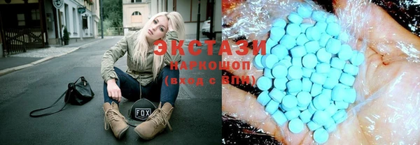 индика Медногорск