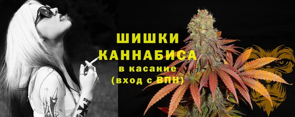 индика Медногорск