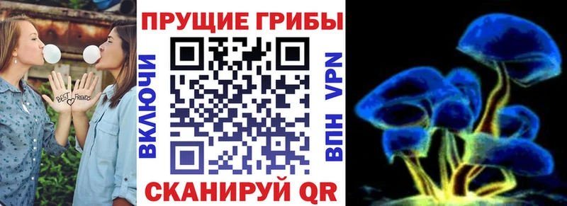 купить  цена  Пикалёво  Псилоцибиновые грибы мухоморы 