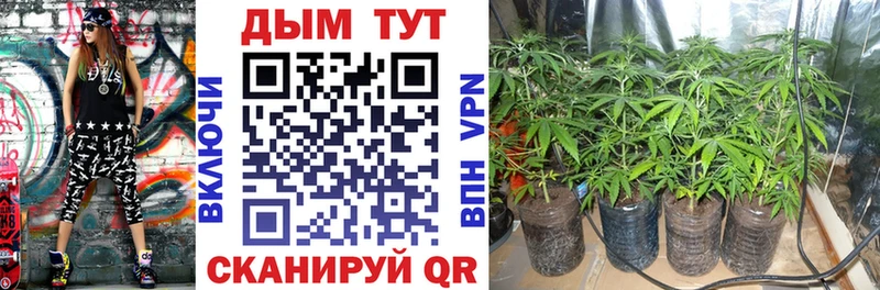 Шишки марихуана Bruce Banner  сколько стоит  Пикалёво 